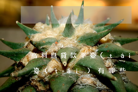 高利息貸款平臺(tái)有哪些(高利貸平臺(tái)有哪些?)