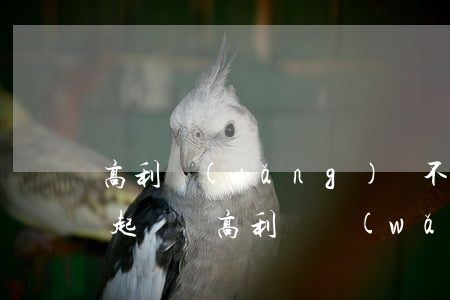 高利網(wǎng)貸不還會(huì)被起訴嗎(高利貸網(wǎng)貸不還會(huì)有什么后果)