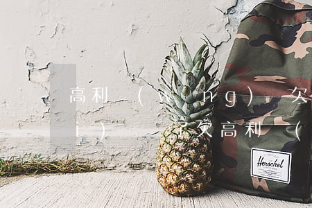高利網(wǎng)貸欠3000沒(méi)錢還了(欠高利網(wǎng)貸不還會(huì)怎么樣)