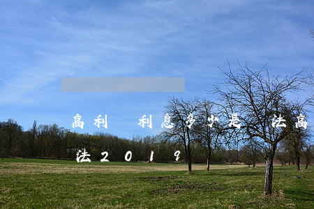 高利貸利息多少是違法(高利貸利息多少是違法2019)