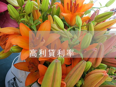 高利貸利率