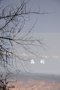 高利貸可以不還嗎