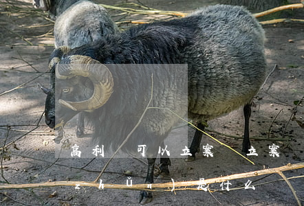 高利貸可以立案嗎，立案標(biāo)準(zhǔn)是什么