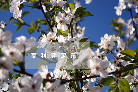 高利貸定義