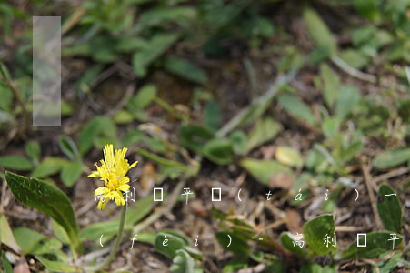 高利貸平臺(tái)一直不還最后逾期費(fèi)-高利貸平臺(tái)一直不還最后逾期費(fèi)用怎么辦