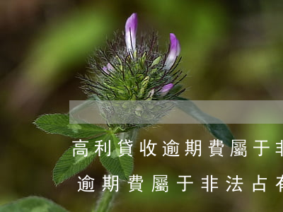 高利貸收逾期費屬于非法占有嗎-高利貸收逾期費屬于非法占有嗎怎么處理