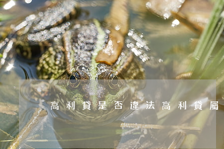 高利貸是否違法(高利貸屬于違法行為嗎)