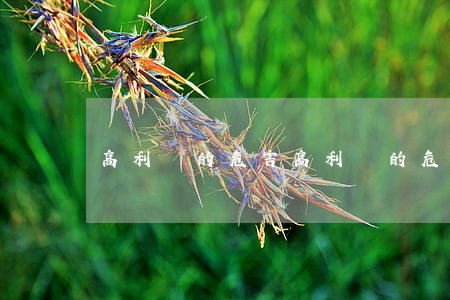 高利貸的危害(高利貸的危害及個人預防)
