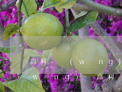 高利貸網(wǎng)貸逾期了怎么辦(網(wǎng)貸高利貸逾期不還會怎么樣)
