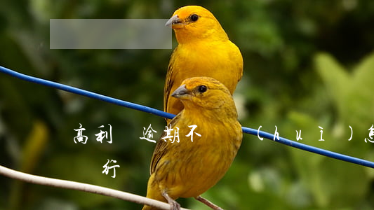 高利貸逾期不還會(huì)怎樣(高利貸不還行嗎)