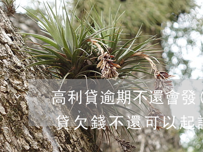 高利貸逾期不還會發(fā)律師函嗎 高利貸欠錢不還可以起訴嗎