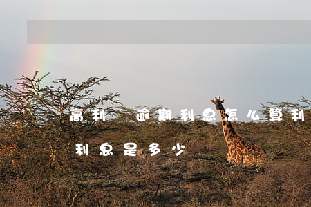 高利貸逾期利息怎么算利息(高利貸正常還款利息是多少)