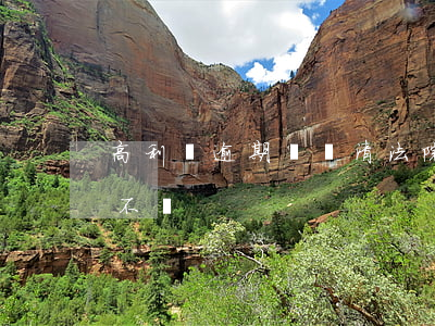 高利貸逾期沒還清法院怎么判-高利貸逾期不還