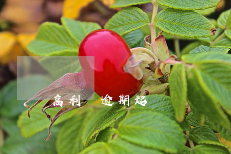 高利貸逾期起訴