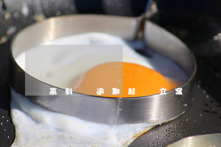 高利貸逾期起訴立案標準-高利貸逾期利息