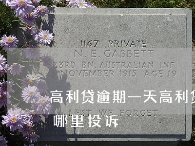 高利贷逾期一天(高利贷逾期一天费用太高去哪里投诉)