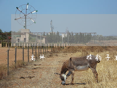 高坪開設賭場推豹子(高坪開設賭場推豹子)
