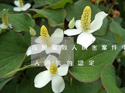 高壓電致人損害案件中被侵權(quán)人過失的認定