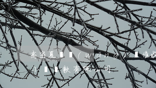 高密夏莊網(wǎng)貸催收公司 高密市小額貸款有限公司