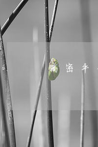 高密平台逾期-山东高密新闻最新消息通报