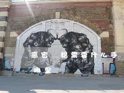 高密離婚需要什么手續(xù)(高密離婚去哪里辦)