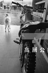 高層公攤面積(高層公攤面積怎么算)