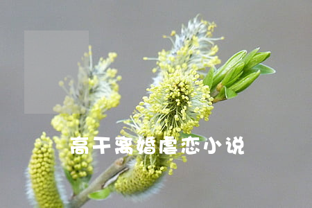 高干离婚虐恋小说
