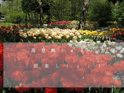 高息無(wú)力償還怎么辦-高息能否要回來(lái)