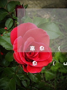 高息網(wǎng)貸欠款不還的后果(高利息網(wǎng)貸逾期不還會怎么樣)