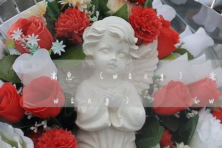 高息網(wǎng)貸逾期一天200(網(wǎng)貸兩萬(wàn)逾期一年利息多少)
