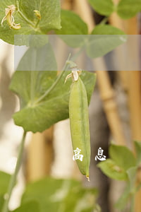 高息網貸逾期會不會被起訴
