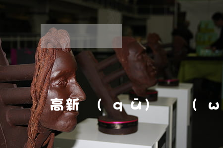 高新區(qū)債務(wù)律師排行