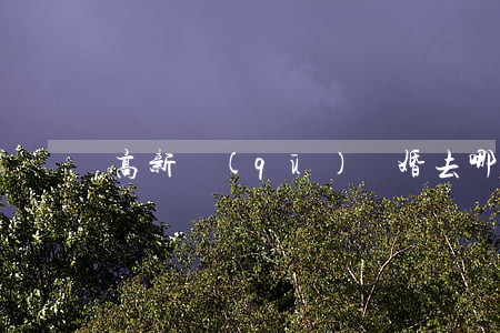 高新區(qū)離婚去哪里