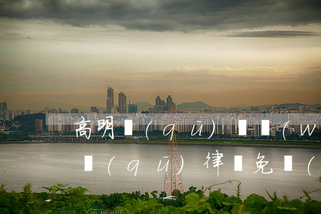 高明區(qū)債務(wù)處理律師(高明區(qū)律師免費(fèi)咨詢)