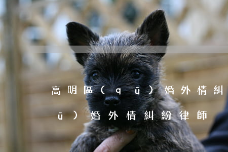 高明區(qū)婚外情糾紛律師(高明區(qū)婚外情糾紛律師)