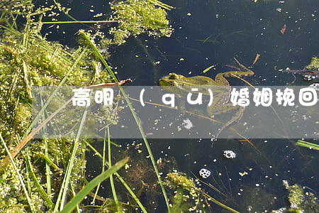 高明區(qū)婚姻挽回律師