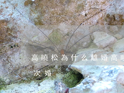 高曉松為什么離婚(高曉松結(jié)過幾次婚?)