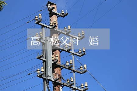 高曉松父母離婚