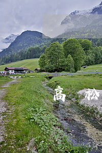 高曉松離婚原因