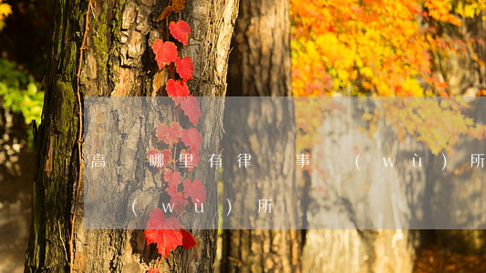 高東哪里有律師事務(wù)所(高名律師事務(wù)所)