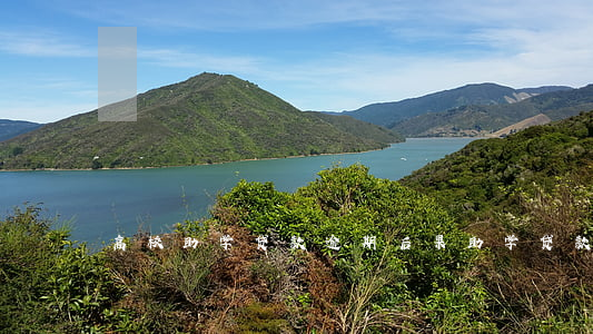 高校助学贷款逾期后果(助学贷款利息逾期)
