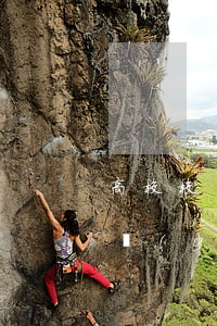 高校校規(guī)嚴(yán)于法律法規(guī)(你將如何遵守法律法規(guī)和校紀(jì)校規(guī),做一個合格的大學(xué)生)