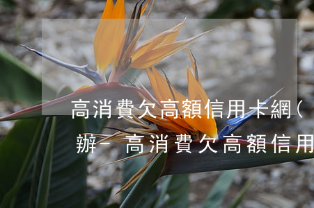 高消費欠高額信用卡網(wǎng)貸怎么辦-高消費欠高額信用卡網(wǎng)貸怎么辦理