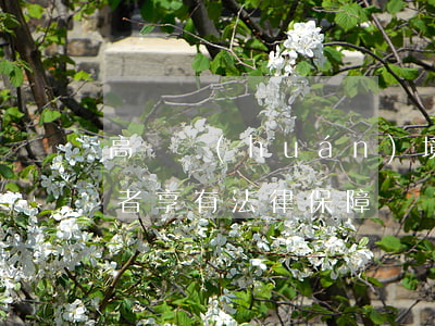 高溫環(huán)境下勞動(dòng)者享有法律保障