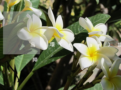 高溫環(huán)境下勞動者享有法律保障
