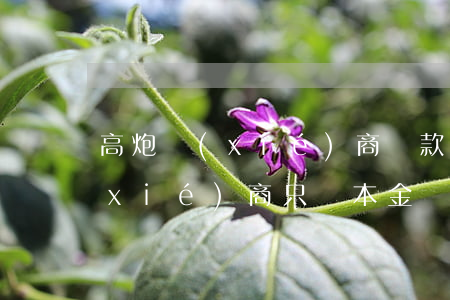高炮協(xié)商還款技巧（高炮怎么協(xié)商只還本金）