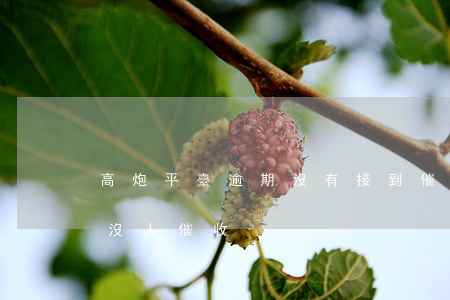 高炮平臺逾期沒有接到催收電話-高炮逾期沒人催收