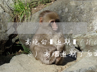 高炮白條逾期會(huì)怎么樣 一個(gè)高炮逾期了后面是不是都不能申請(qǐng)了
