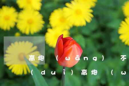 高炮網(wǎng)貸不還可以供房嗎(面對(duì)高炮網(wǎng)貸該如何處理)