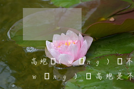 高炮網(wǎng)貸不還會定位你么(網(wǎng)貸高炮是不是不用還)